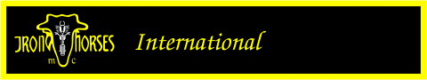 banner international
